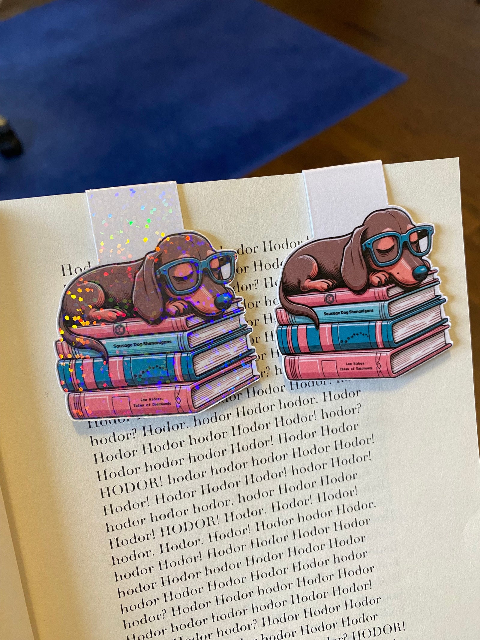 Sleeping dachshund doxie dog magnetic bookmark lounging on books