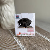 Magnetic bookmark of black lab in packaging